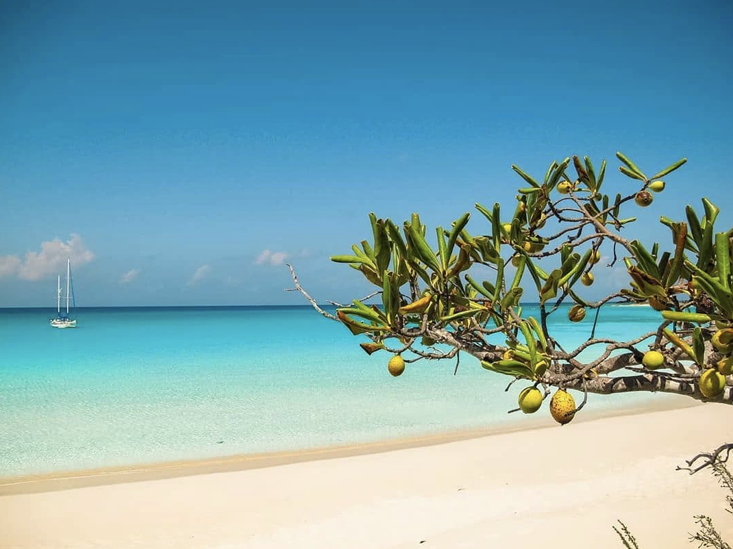 Screen Shot 2021-03-28 at 8.42.45 PM.png