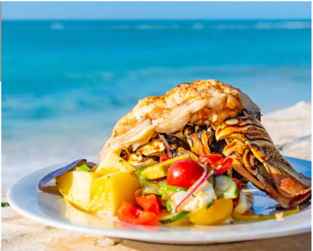 Screen Shot 2021-04-14 at 12.21.19 AM.png