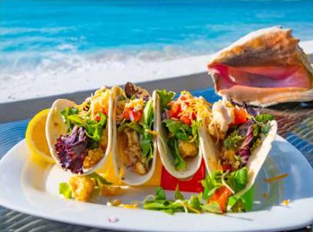 Screen Shot 2021-04-14 at 12.21.52 AM.png