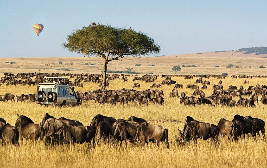 maasai-mara-1110x700.jpg