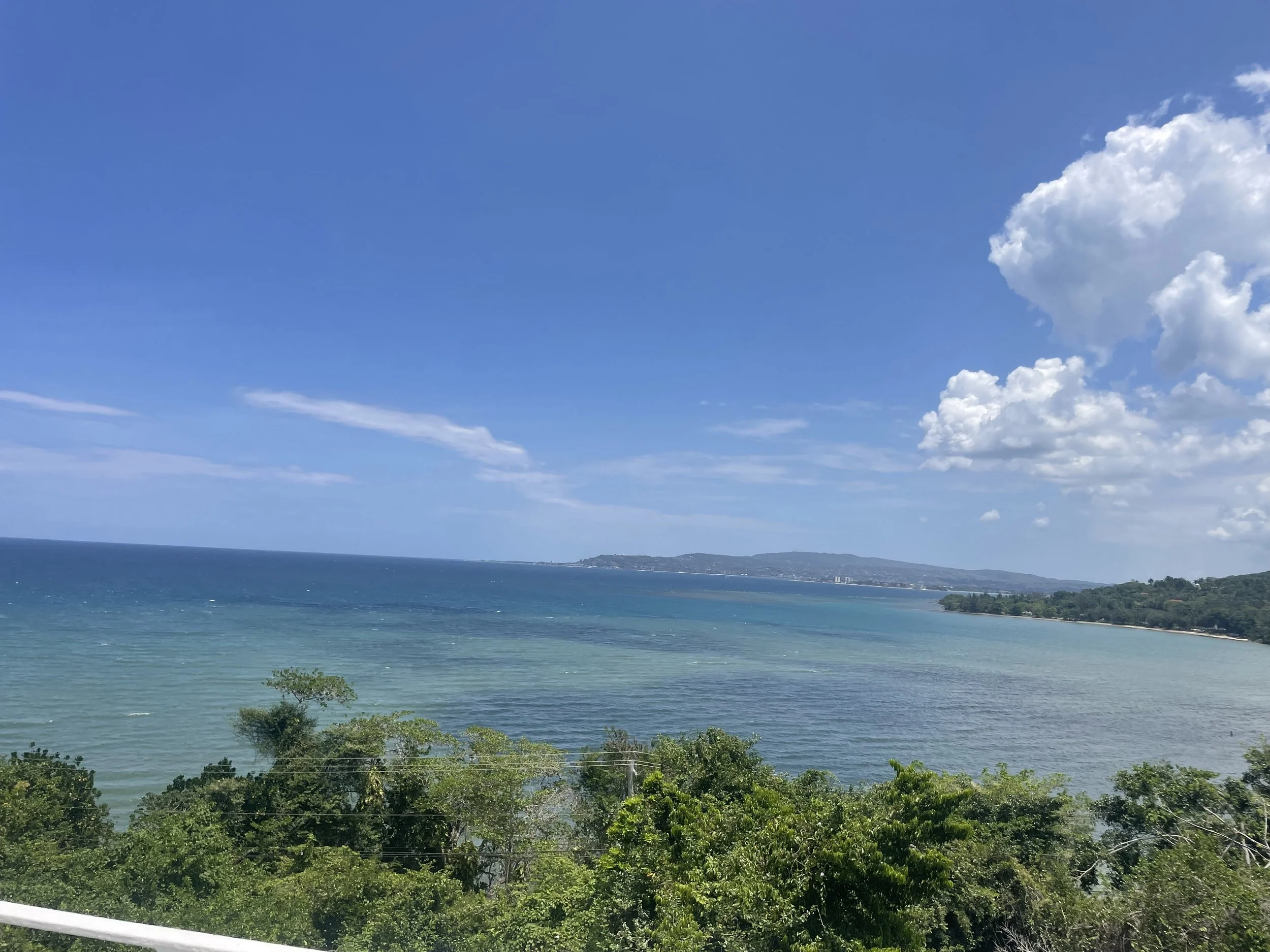 IMG_3952.jpeg