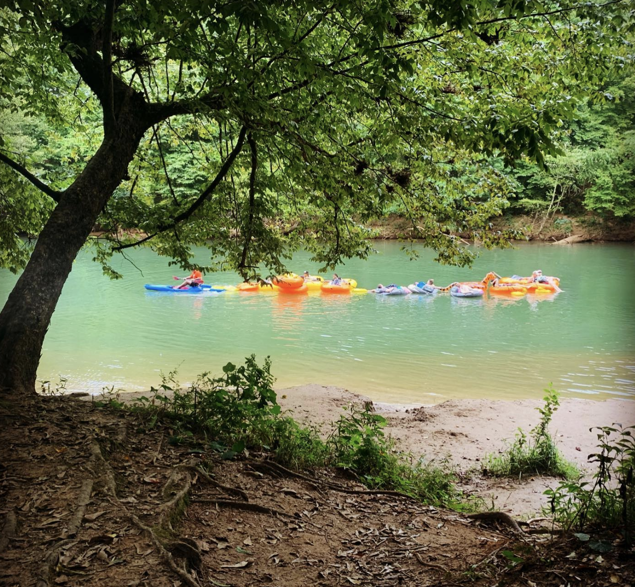 Screen Shot 2022-06-04 at 7.06.26 PM.png