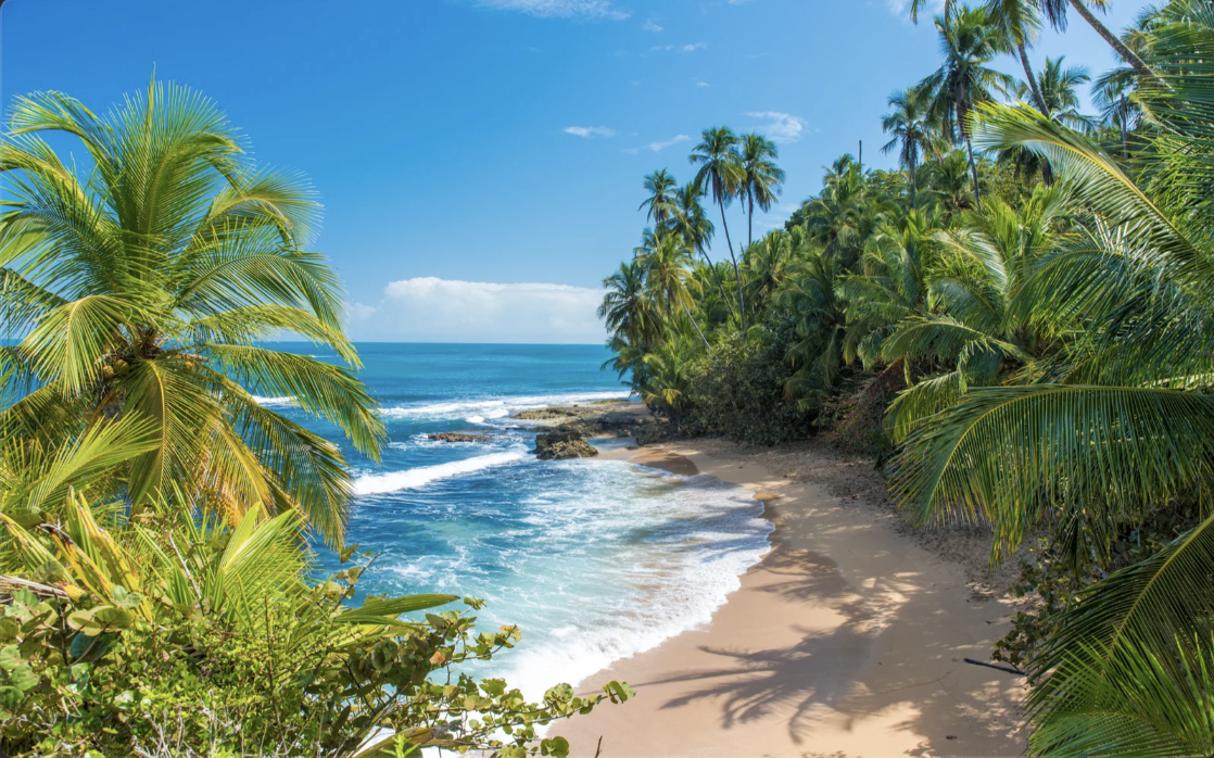 Screen Shot 2023-01-25 at 11.20.27 PM.png