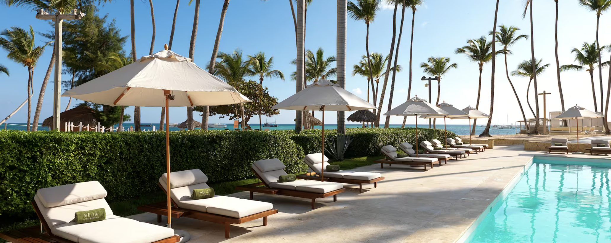 Screen Shot 2024-02-21 at 11.34.43 AM.png