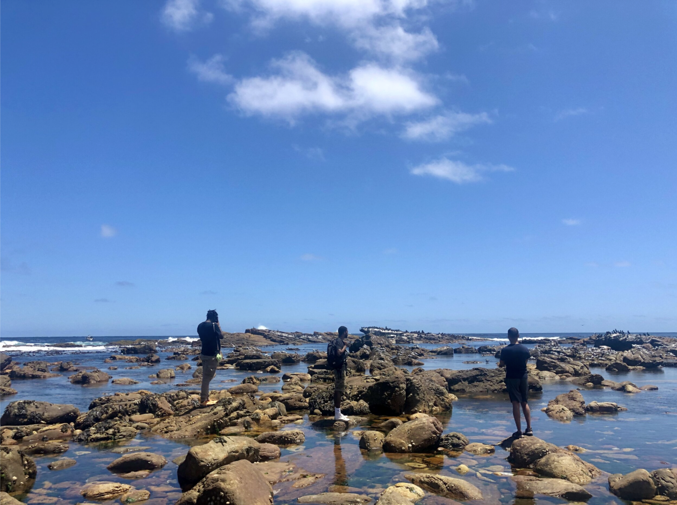 Screenshot 2024-03-01 at 6.32.50 PM.png