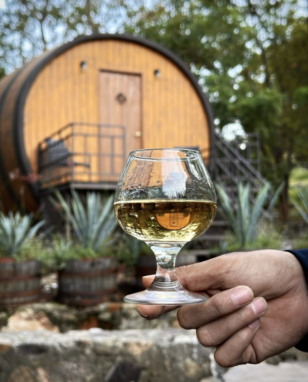 Screen Shot 2024-03-18 at 4.22.43 PM.png