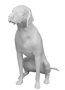 GermanShorthaired-02-s.png