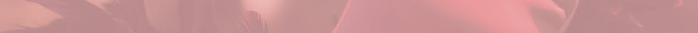 pnk pink pink.jpg