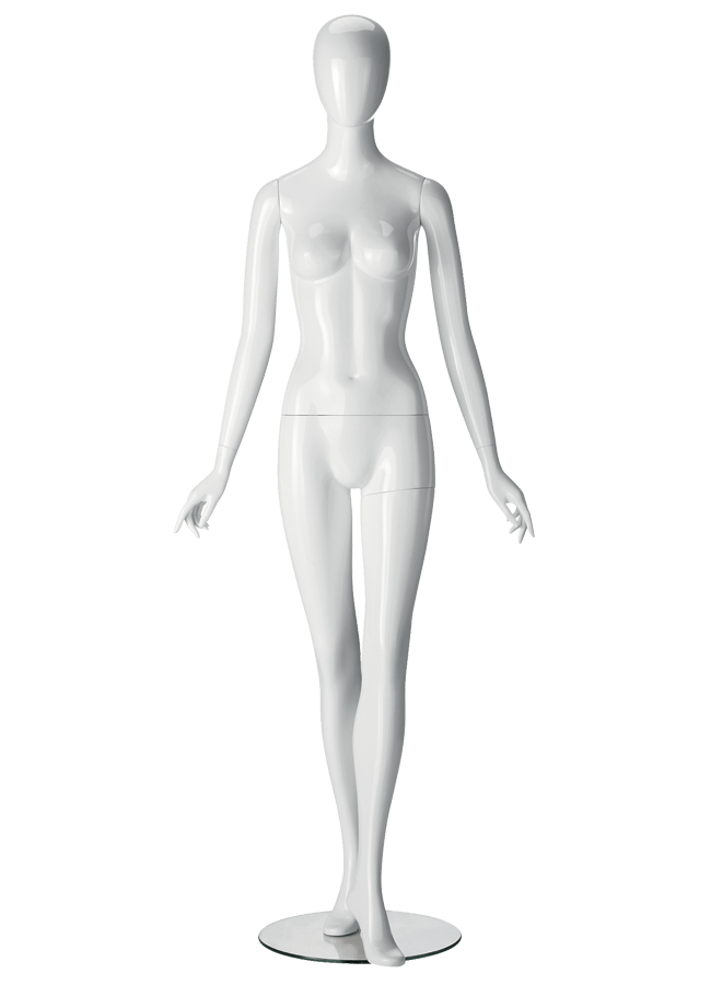 Ringo_female_C.png