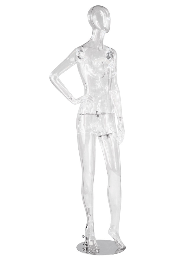 TRANSPARENT FEMALE
