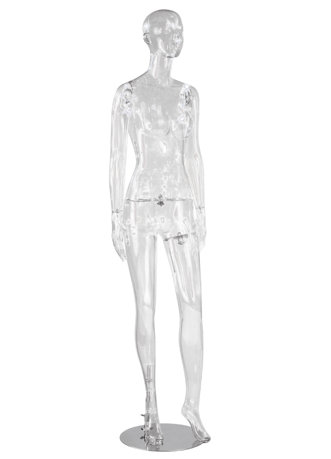 TRANSPARENT FEMALE 