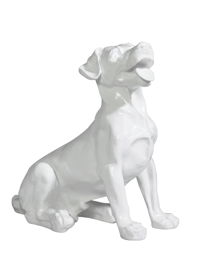 Dog-Jack.png