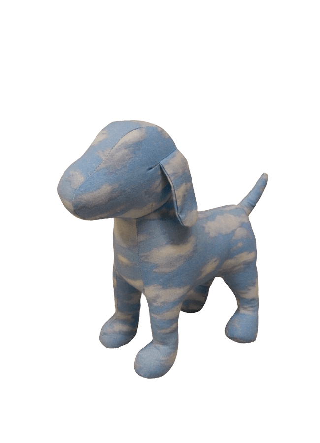 FD-DOG3.png
