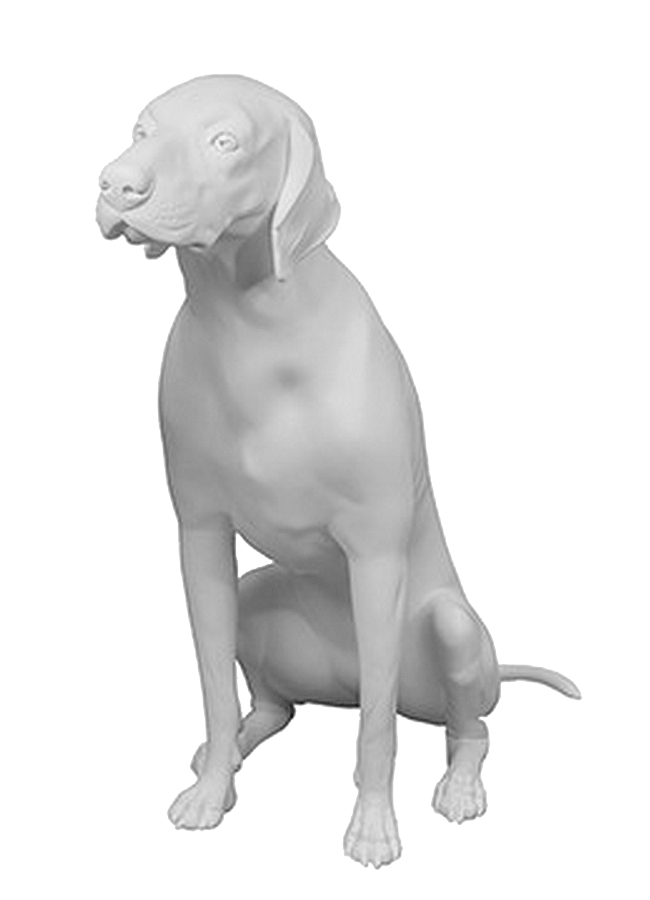 GermanShorthaired-02.png