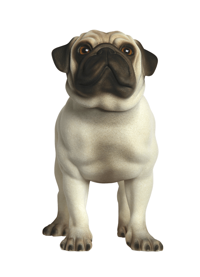 MartyRealistic_front.png