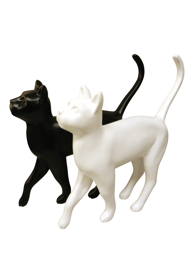 MD-CAT01.png