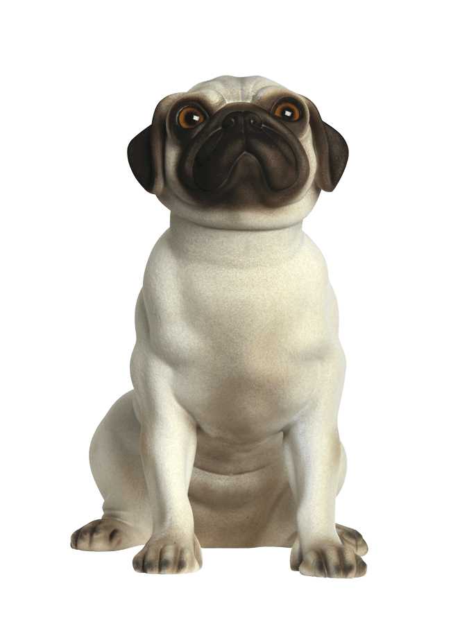 WallaceRealistic_front.png