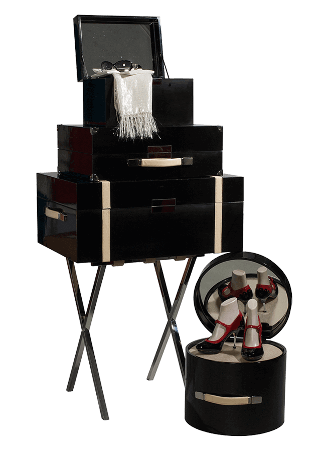 HatBox-Trunk-SuitCase-TrainCase.png