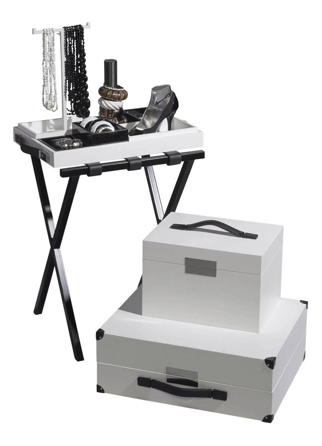 Tray+TrainCase+SuitCase+LuggageRack.png