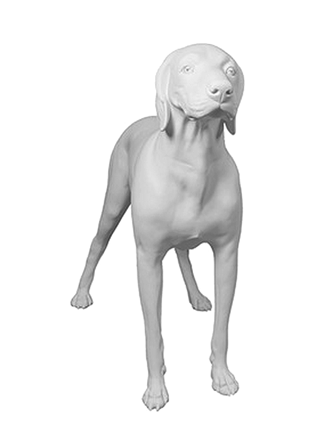 GermanShorthaired-01.png