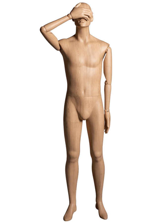 HB-M2-ART.png.webp