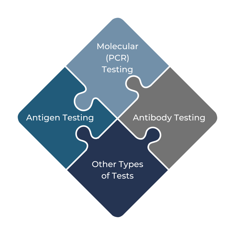 Antigen+Testing+Molecular+%28PCR%29+Testing+Antibody+Testing+Other+Types+of+Tests