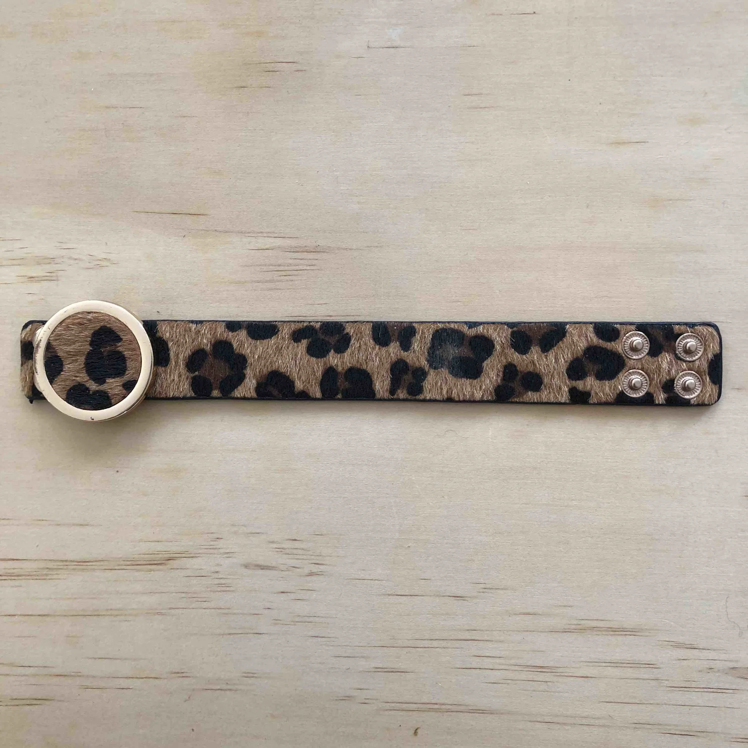 Leopard Pring Double Clip Flat.jpg