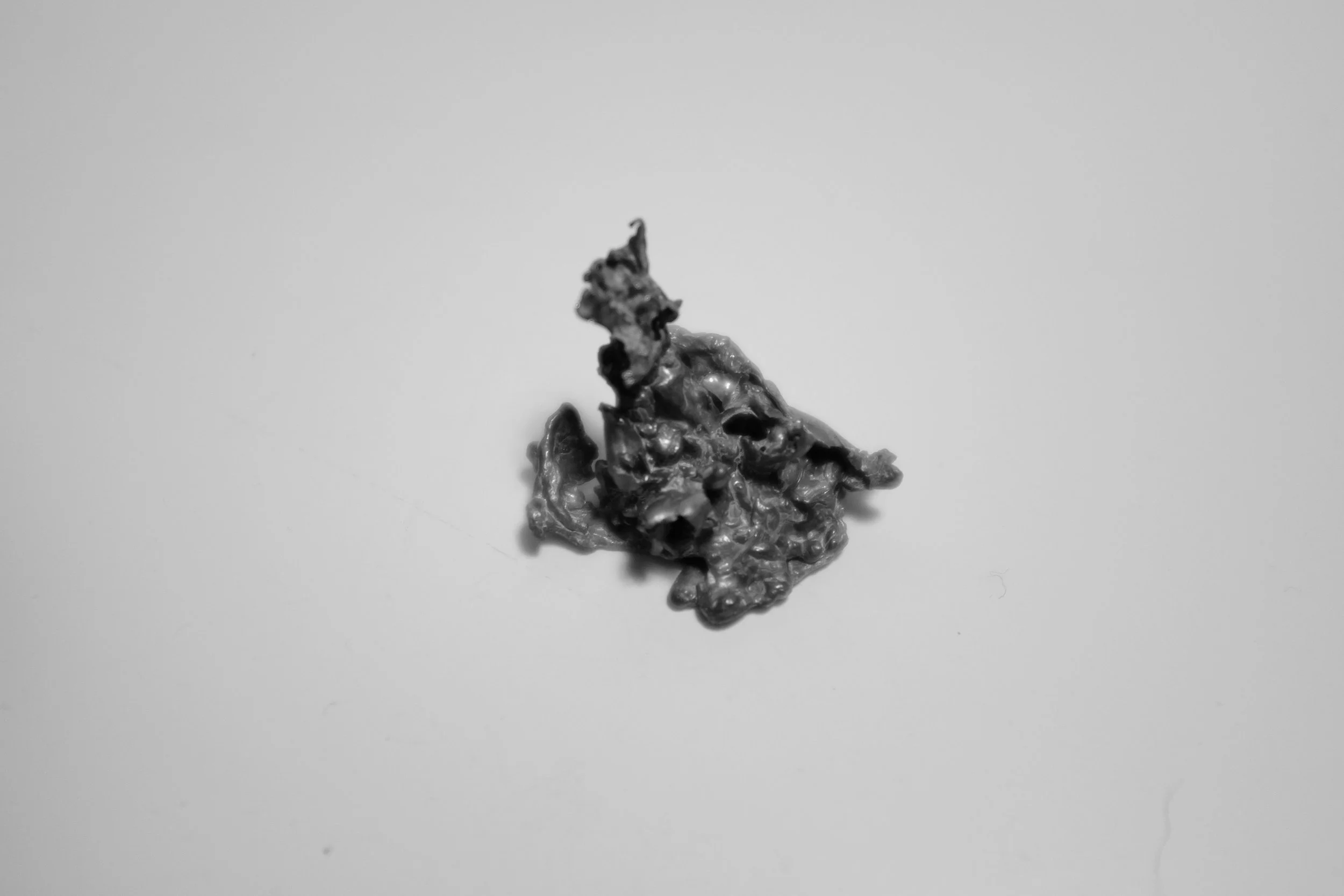 DSCF7447.jpg