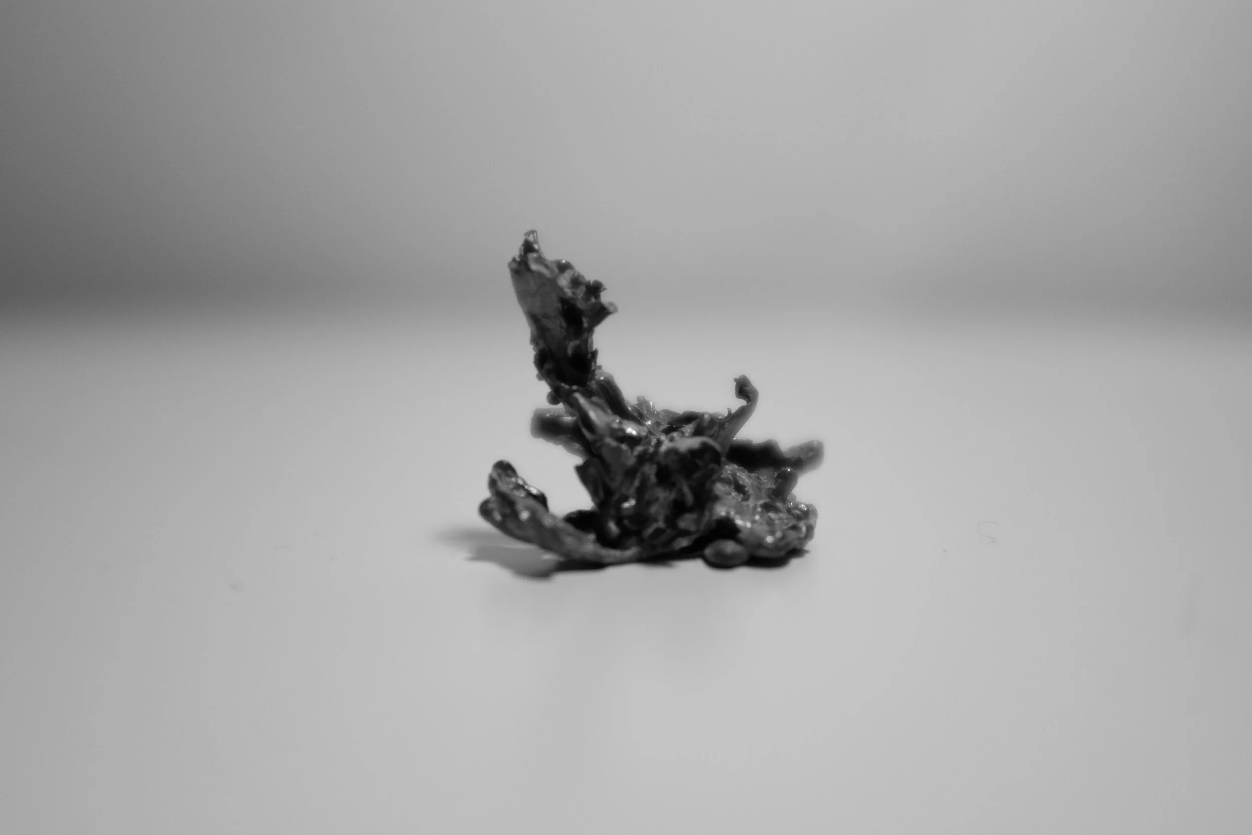 DSCF7449.jpg