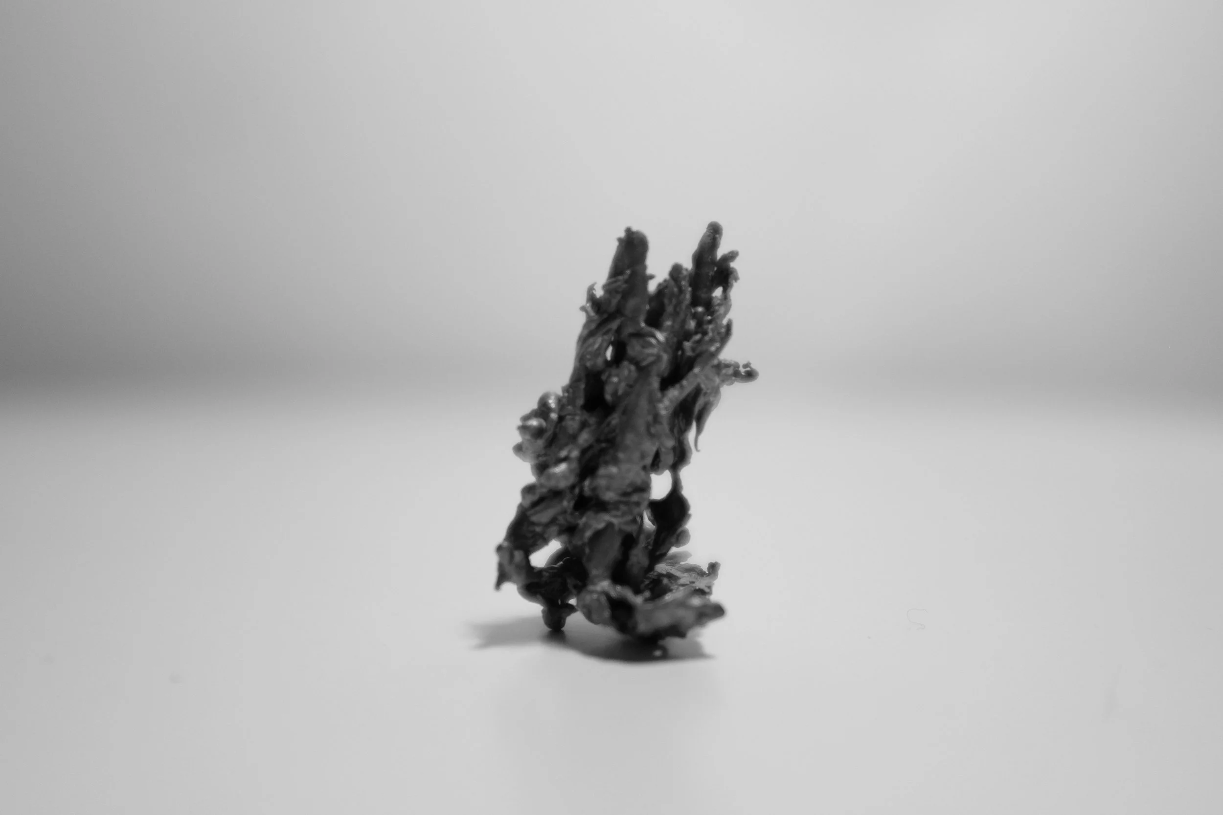 DSCF7450.jpg