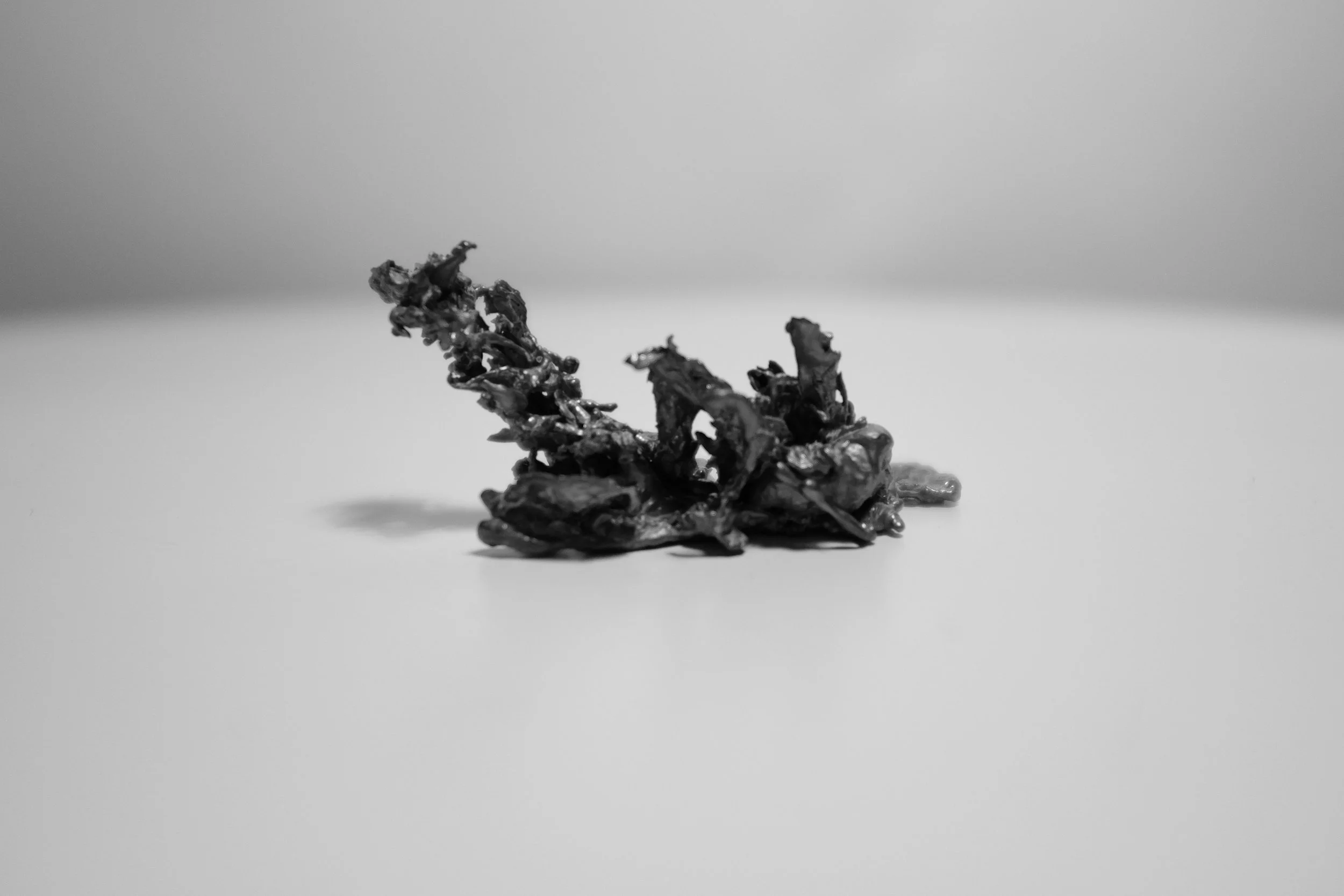 DSCF7457 2.jpg