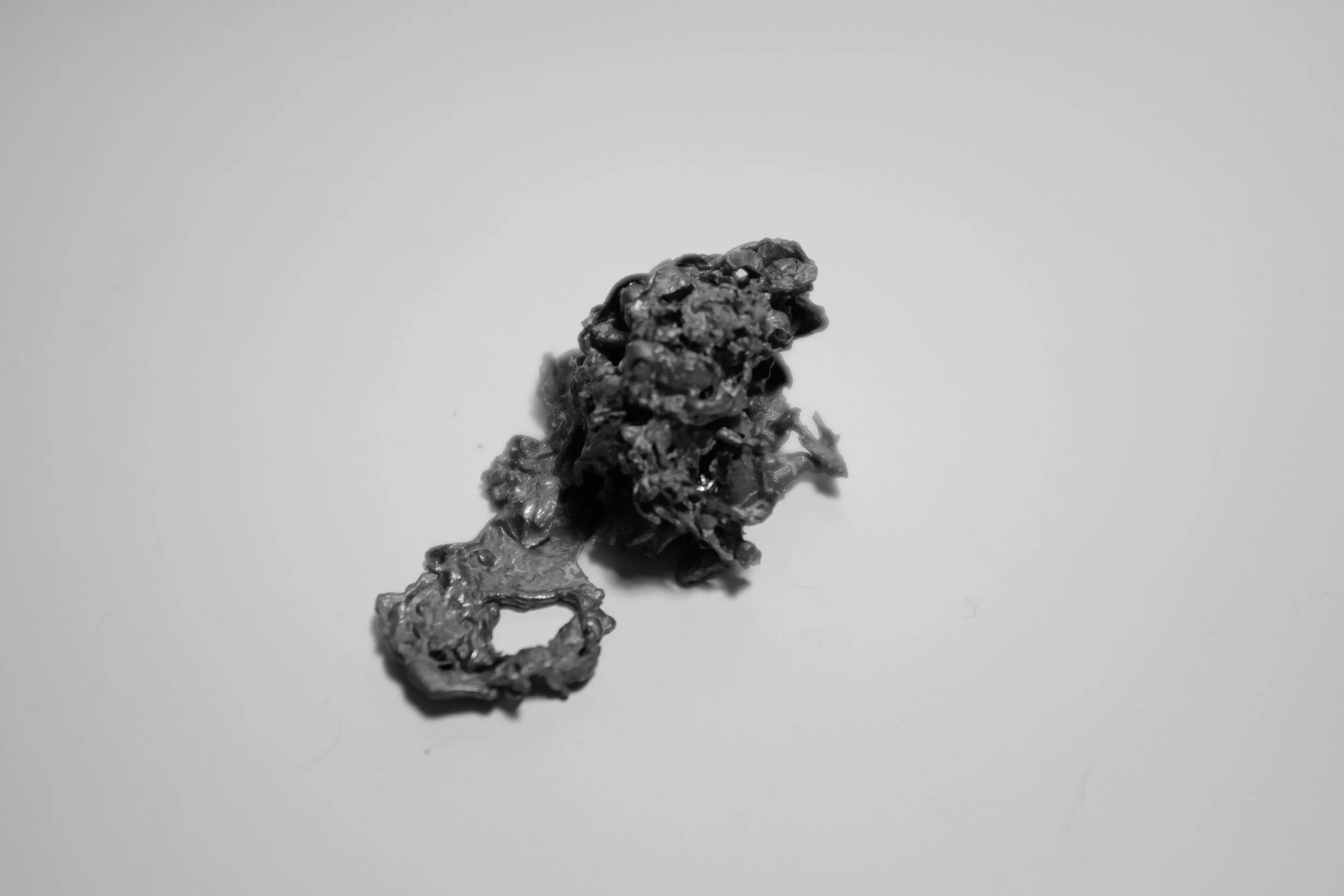 DSCF7460.jpg