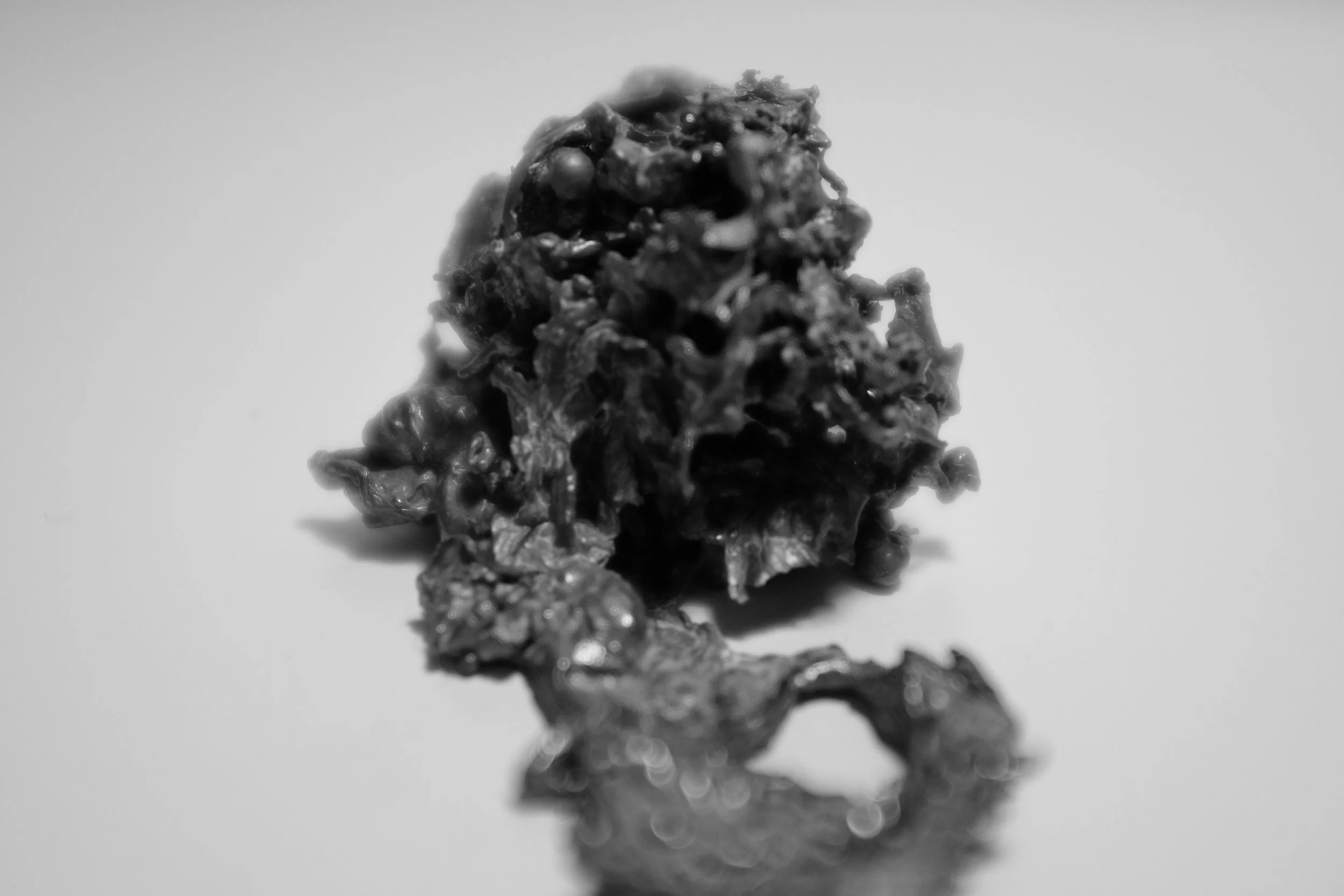 DSCF7464.jpg