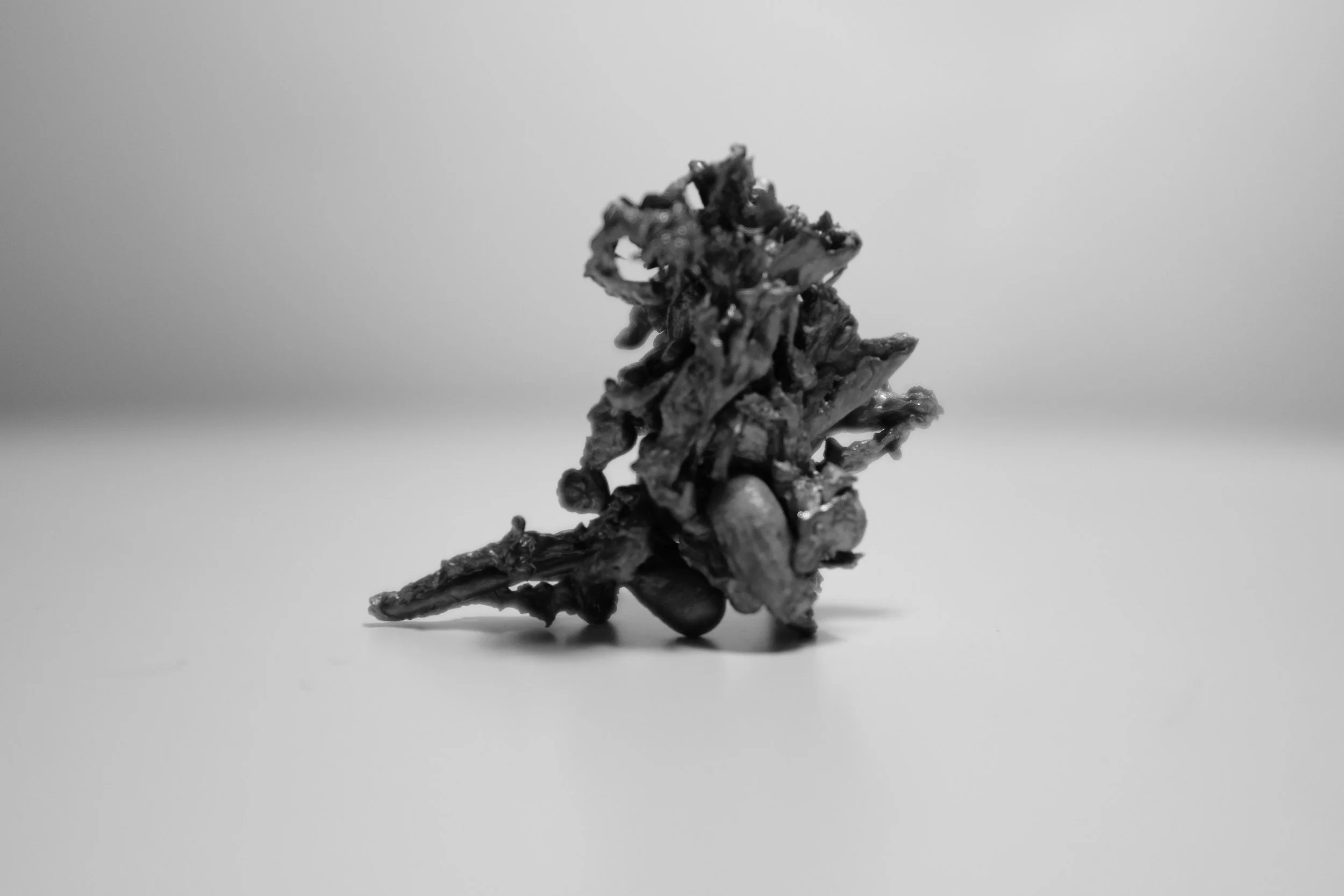 DSCF7471.jpg