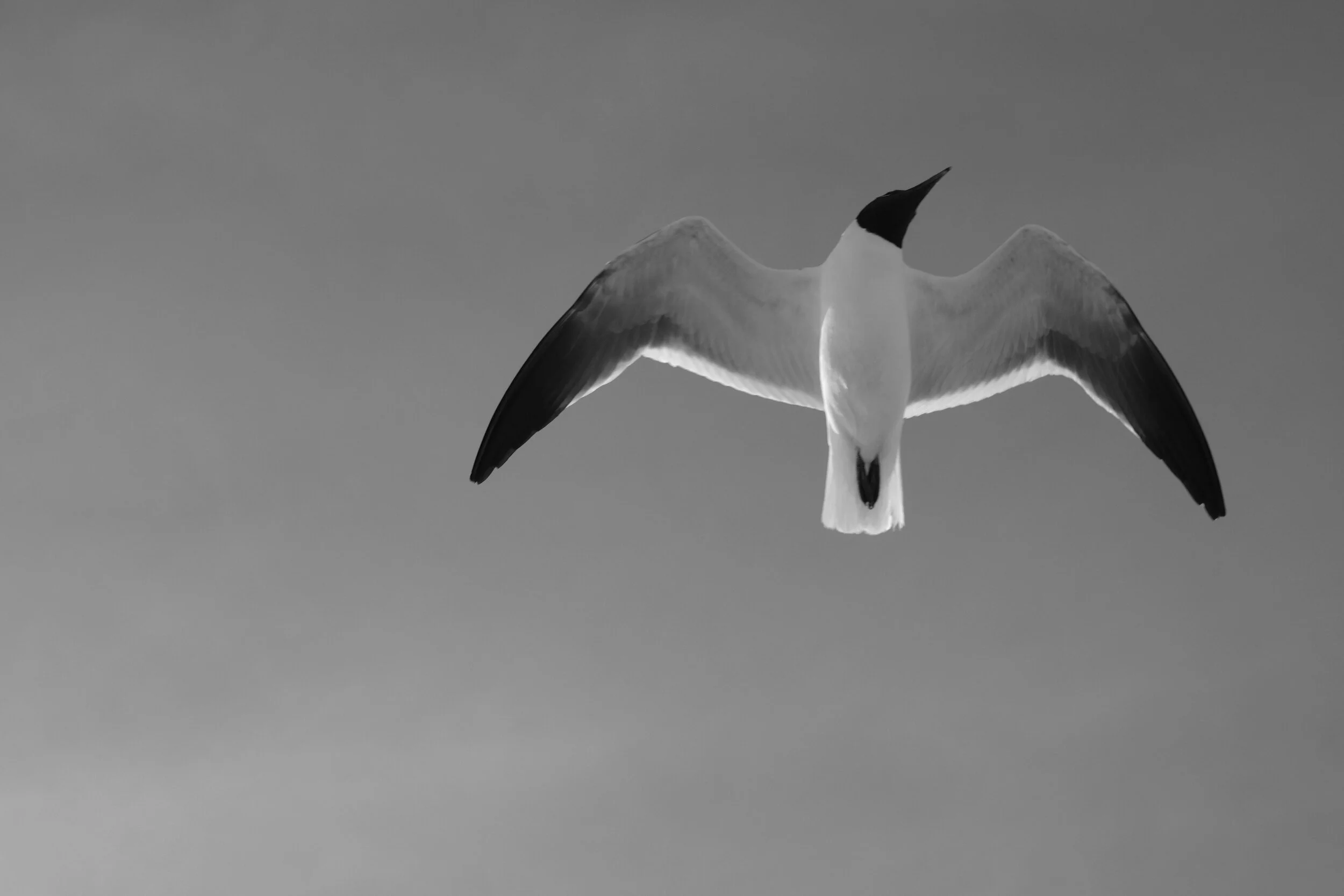 The Slightly Less Small