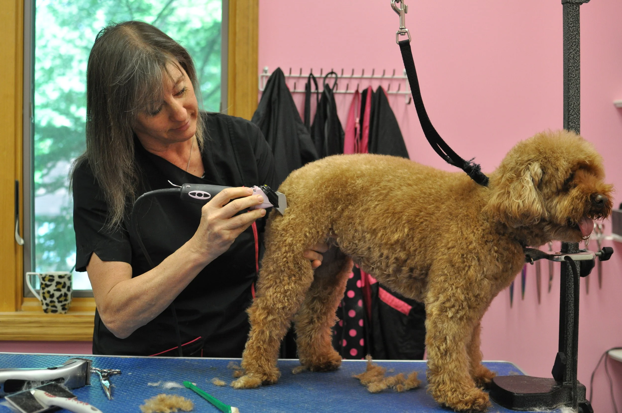Styling — Pink Dog Parlor & Resort