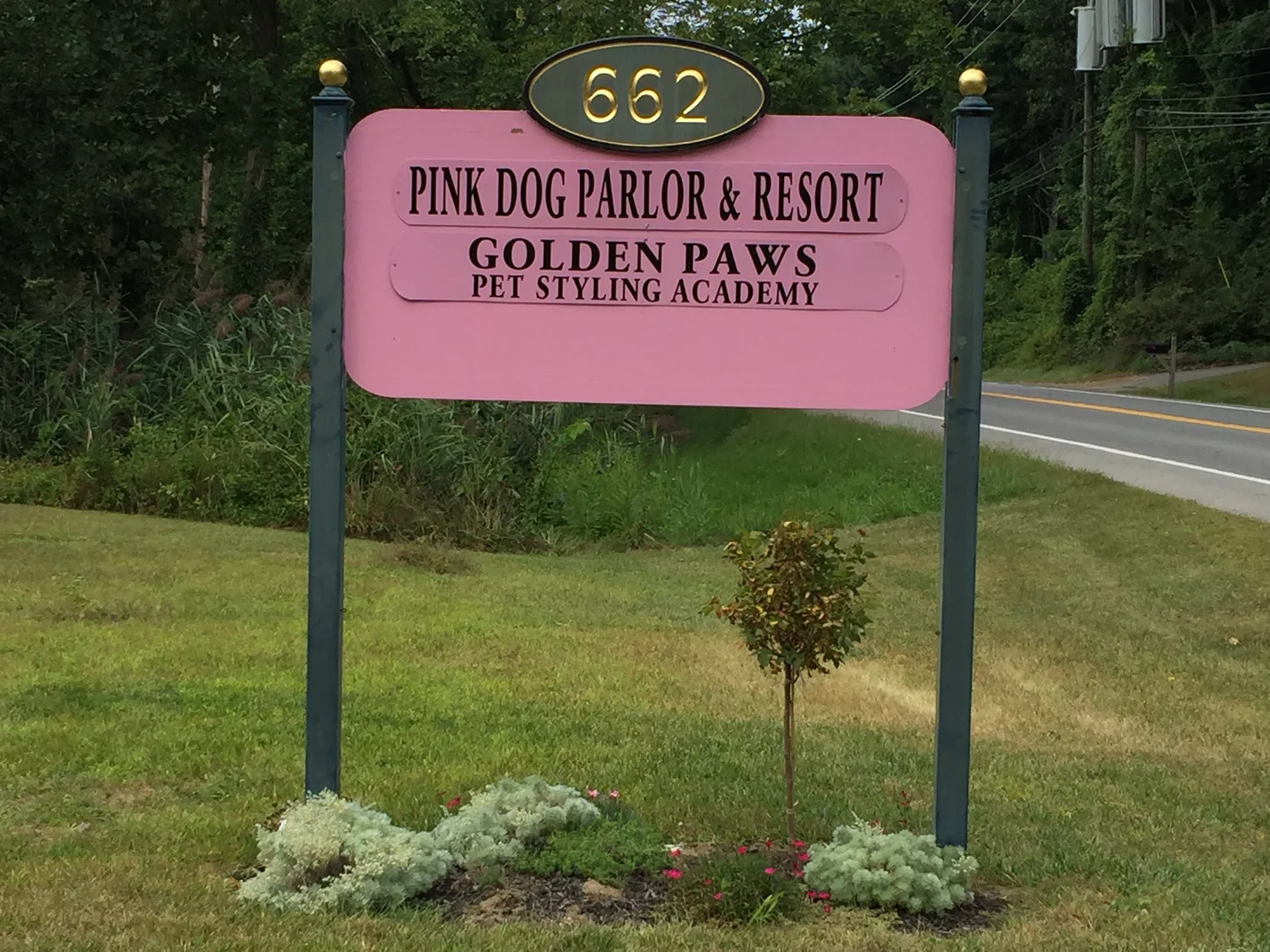 Connect — Pink Dog Parlor & Resort