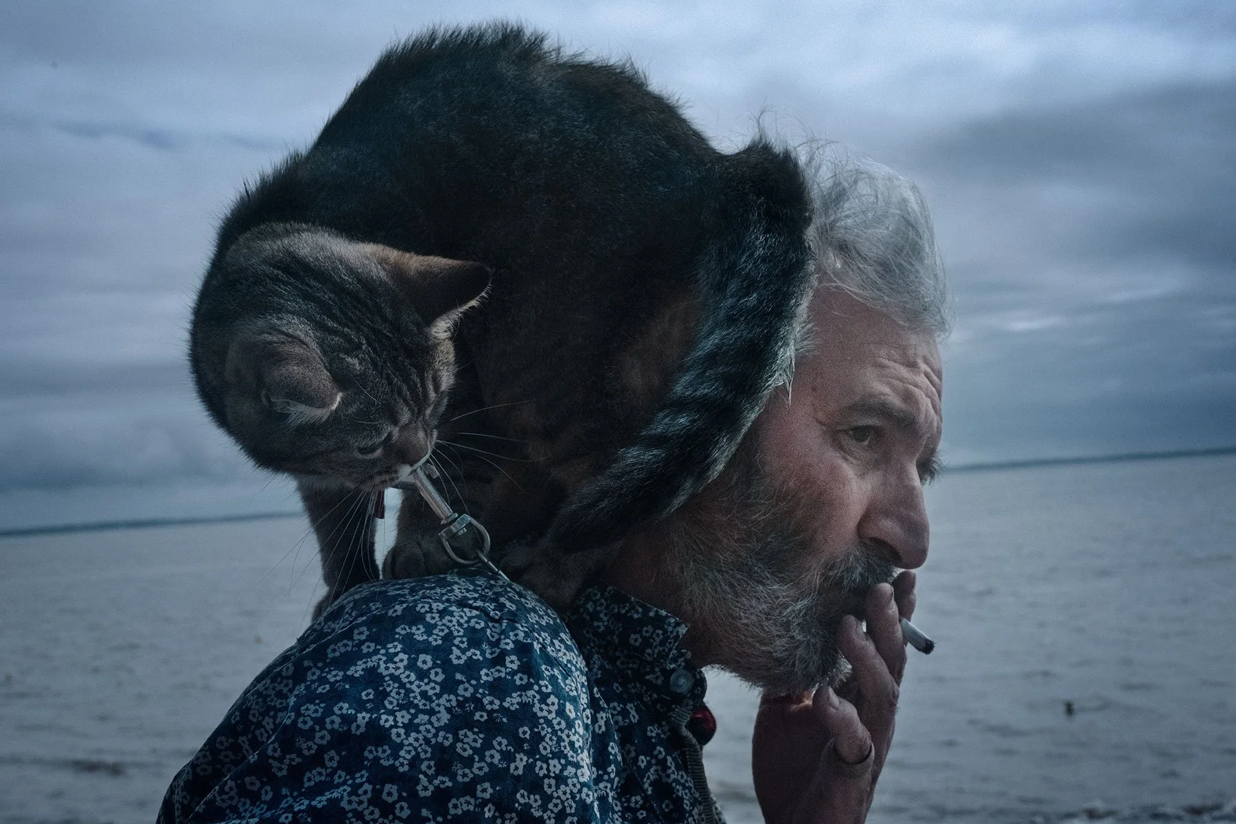  © Emeline Sauser 