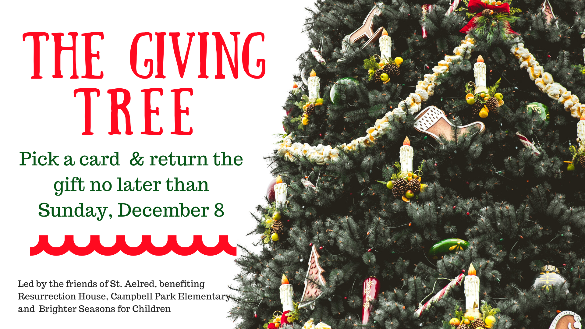 The Giving Tree — The Cathedral Church of St. Peter