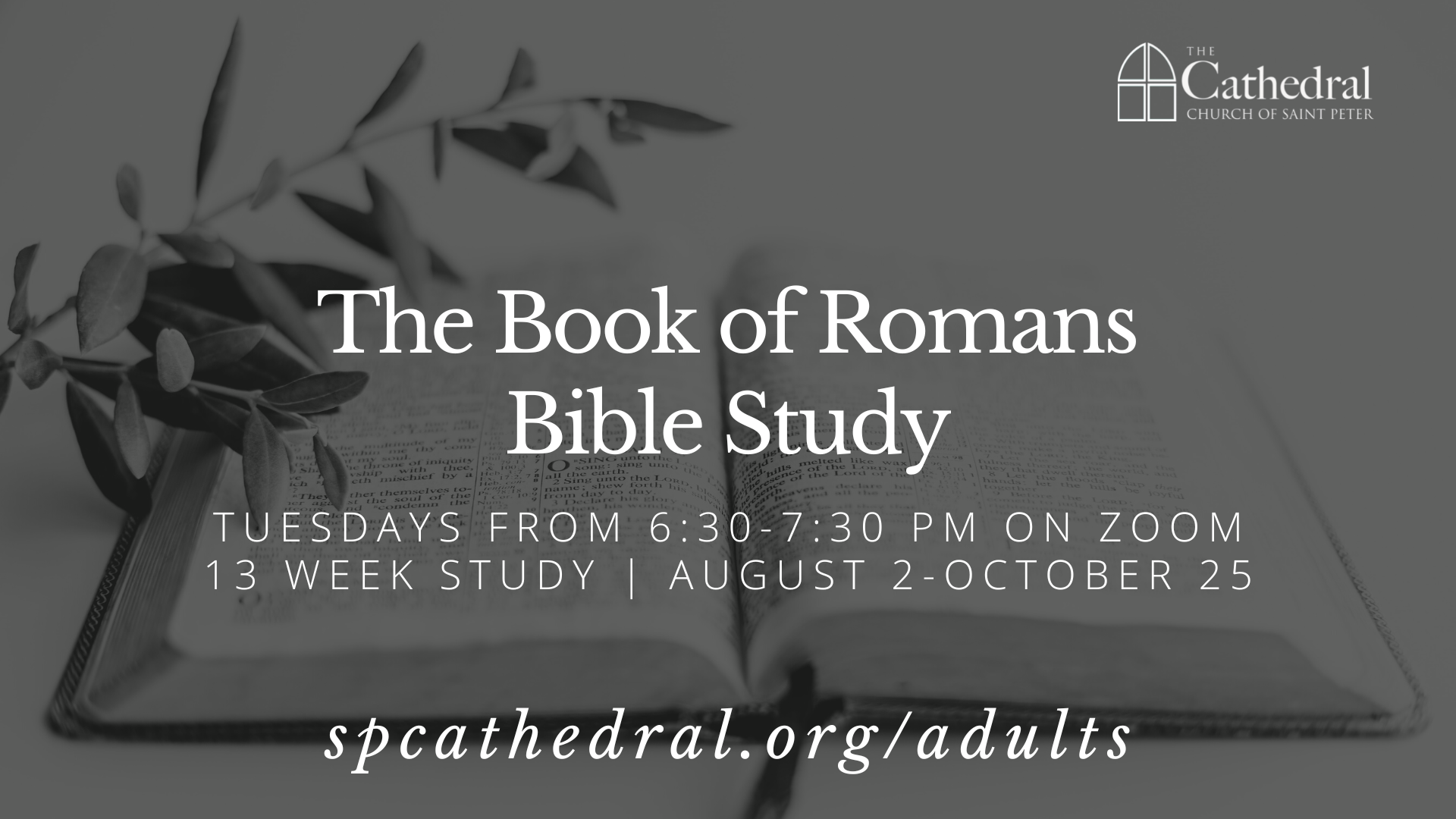 Romans Bible Study — The Cathedral Church of St. Peter