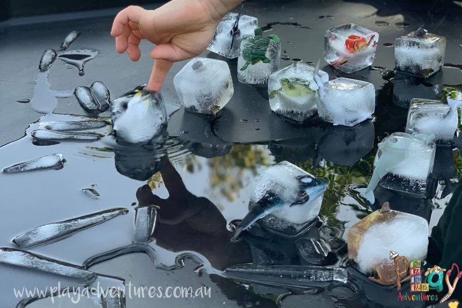 Animals in Ice Cubes.jpg