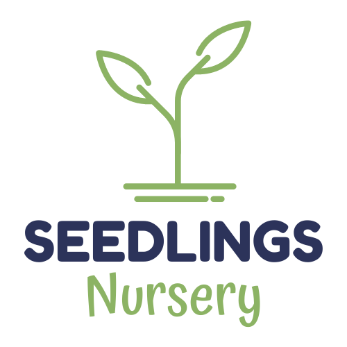 Seedlings.png