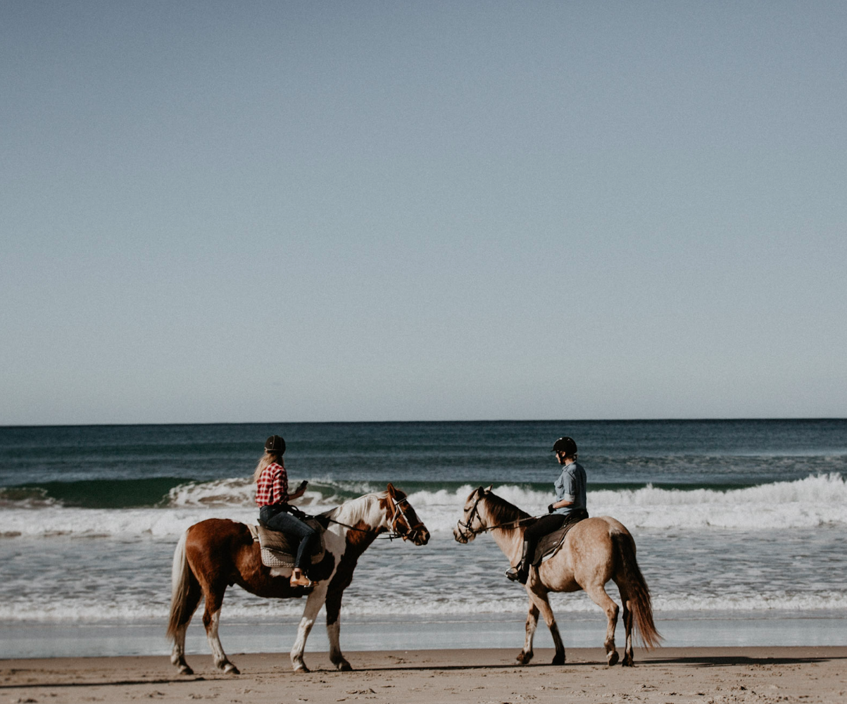 Screen Shot 2019-07-09 at 11.15.10 am.png