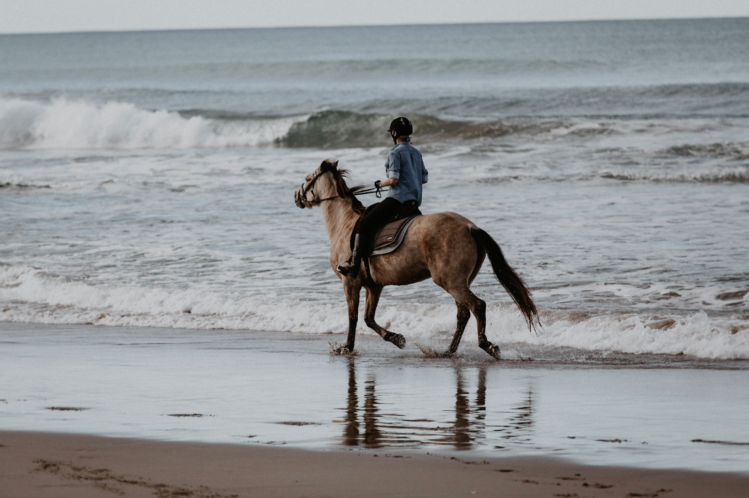 Screen Shot 2019-07-09 at 12.56.15 pm.png