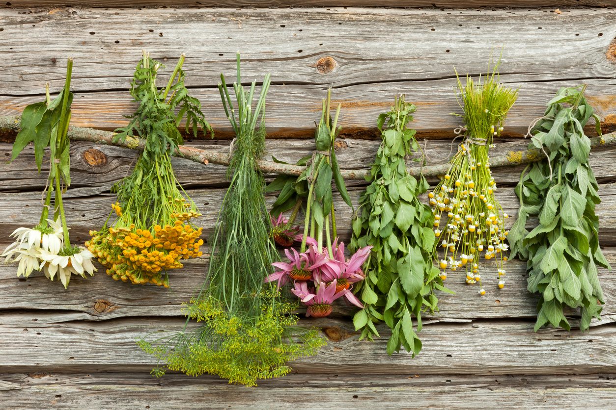 dried-herbs.jpg