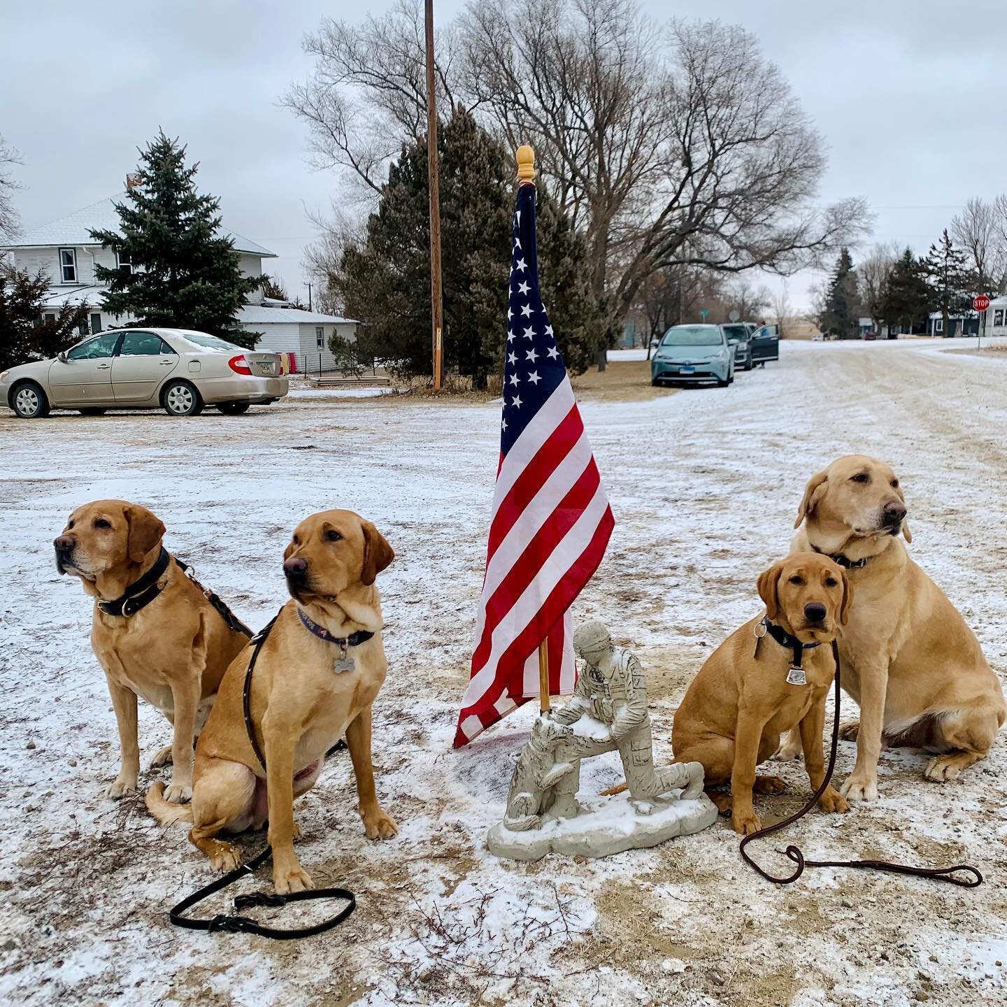 How does a north central South Dakota farm/ranch community, population 46, fill their time in the bitter January cold?  By hosting the Tolstoy Windchiller 5K Run/Walk! In its 8th year, the Windchiller has raised over $42,000 to support Labs for Liber