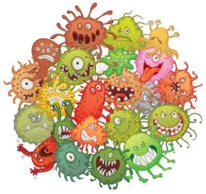 bacteria.jpg