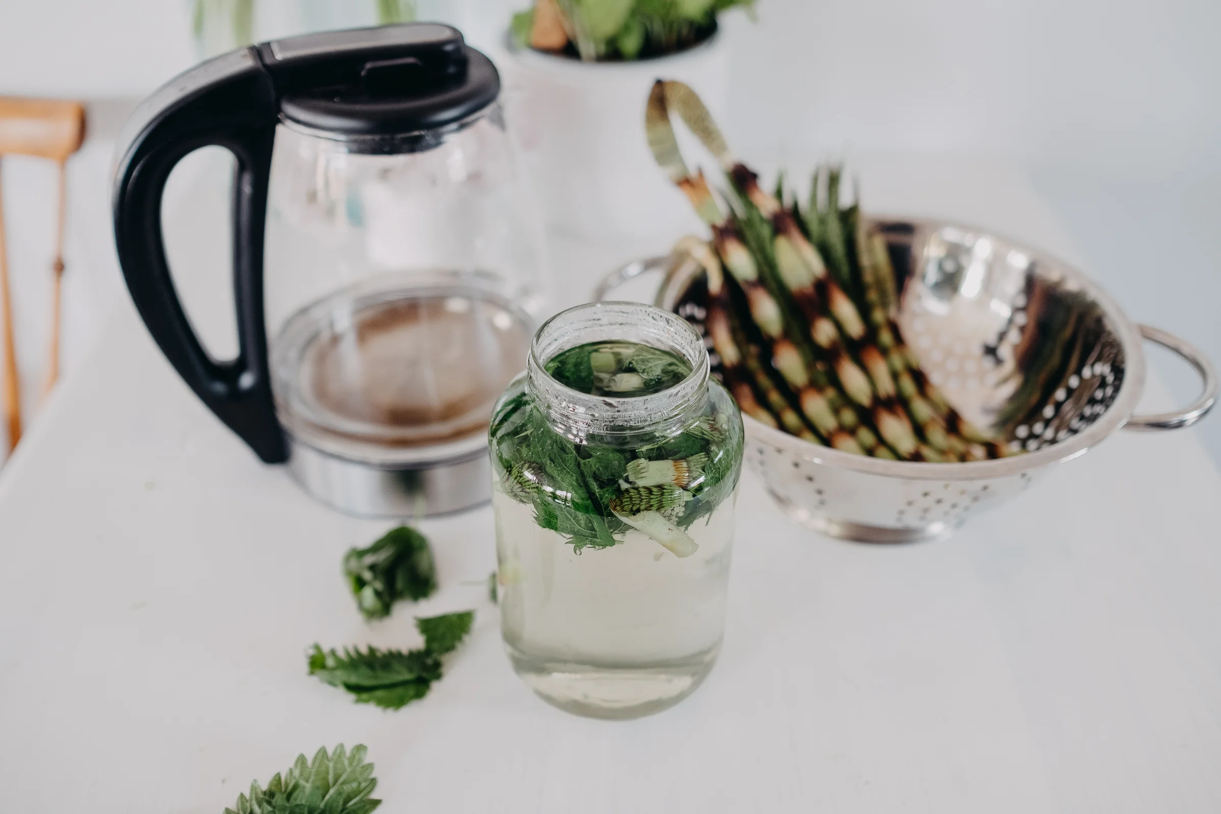 Stinging nettles for allergies, hair & skin — Matka Botanicals ...