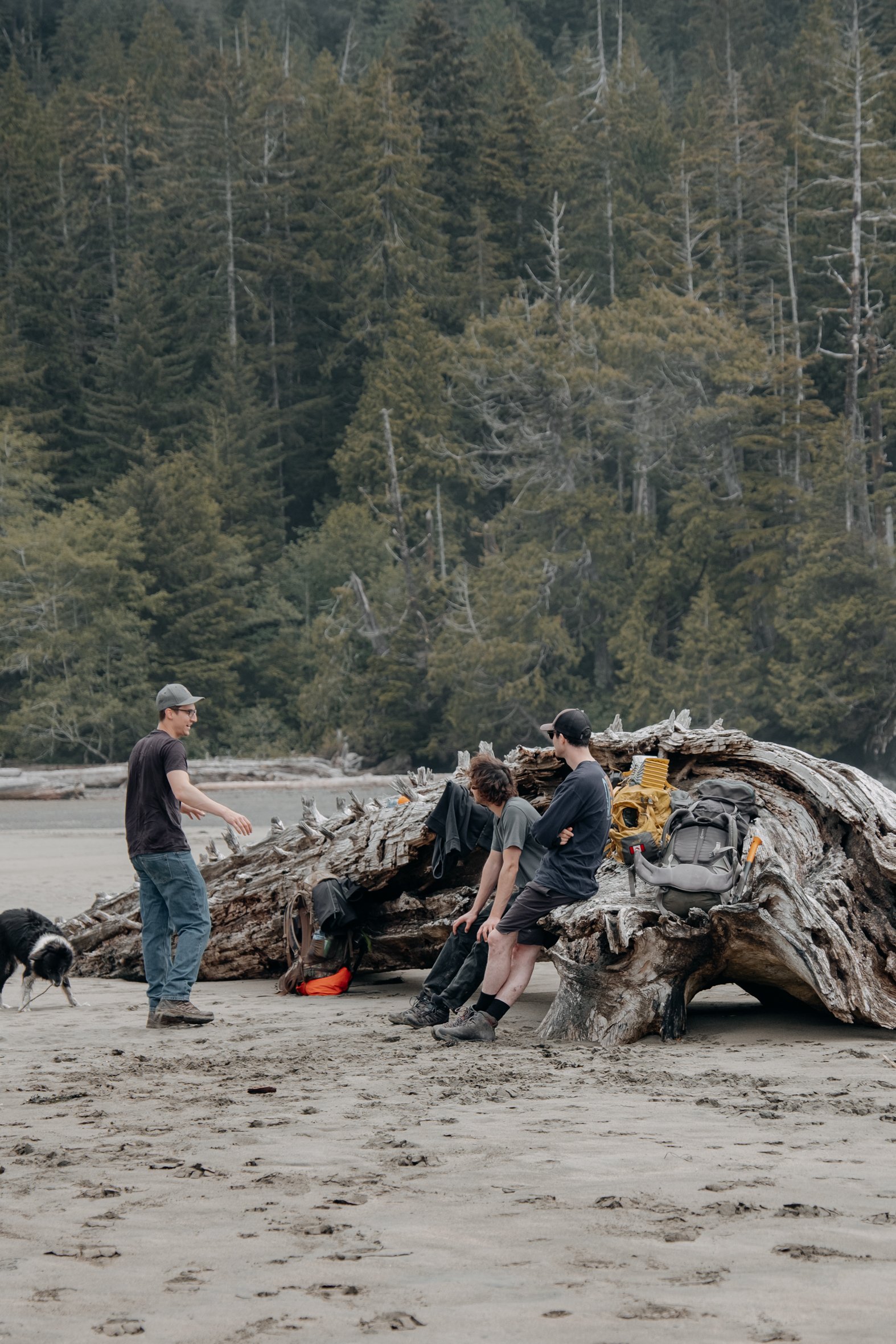 Cape Scott Midsummer (24 of 80).jpg