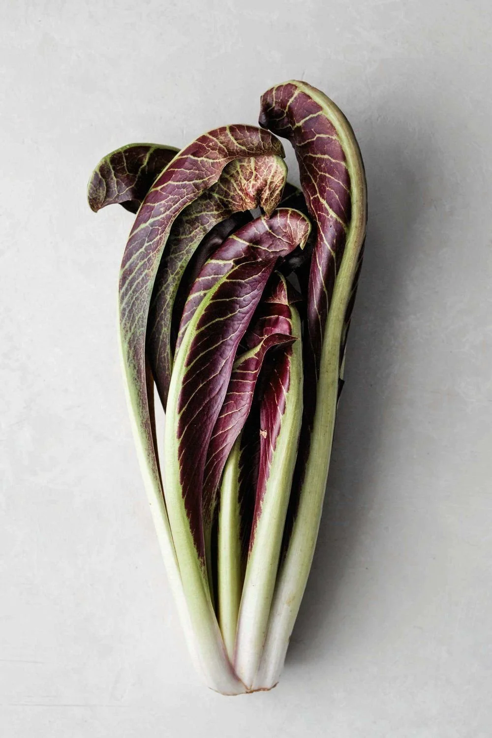 Why bitter foods are so good for your skin!